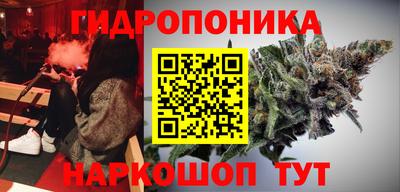 spice Лесосибирск