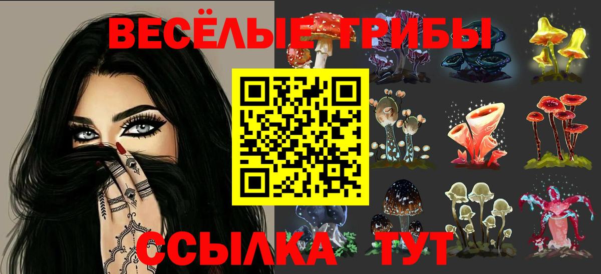 Псилоцибиновые грибы Magic Shrooms  Вход с VPN  Вятские Поляны  Псилоцибиновые грибы прущие грибы 