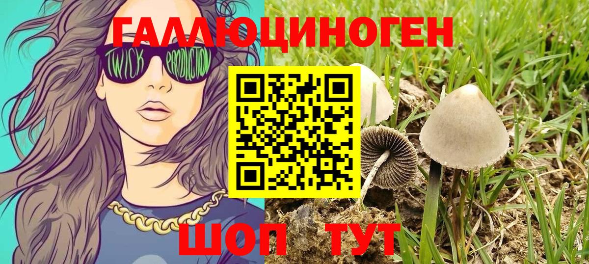 Галлюциногенные грибы Magic Shrooms Вятские Поляны