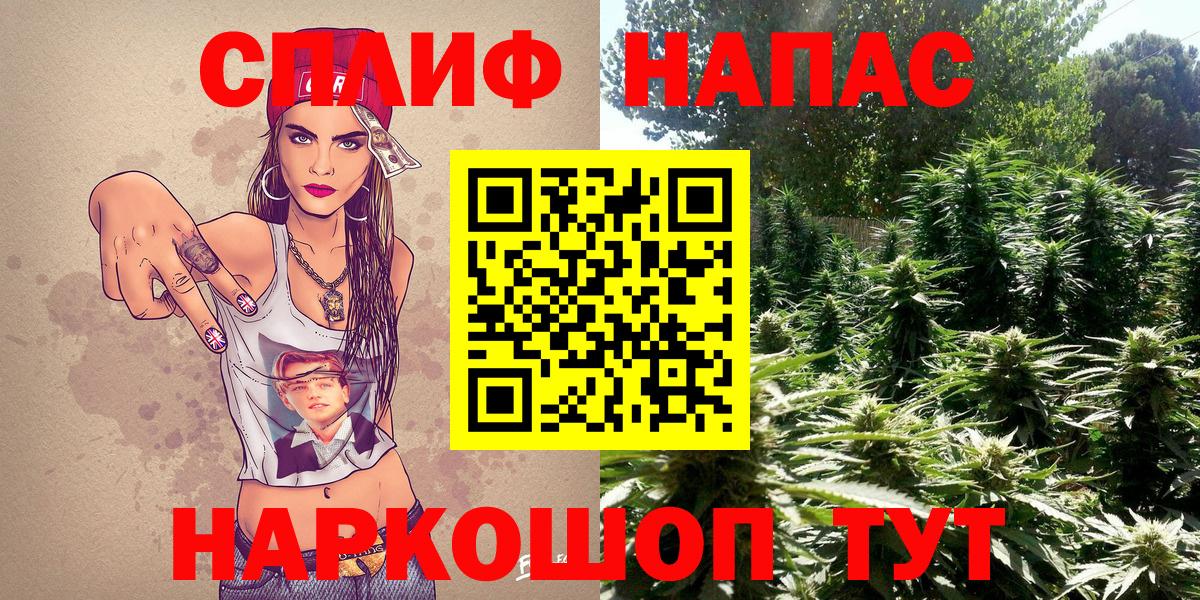 Каннабис Amnesia Вятские Поляны