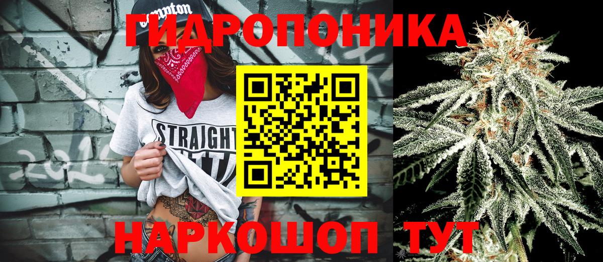 МАРИХУАНА семена  Конопля индика  Шишки марихуана планчик  Вход с VPN  Вятские Поляны  Шишки марихуана Bruce Banner 